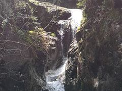 -宁波五龙潭景区