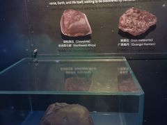 -浙江自然博物院(杭州馆)