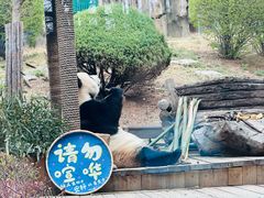 -大连森林动物园