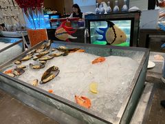 -深圳东方银座酒店·棕榈园西餐厅