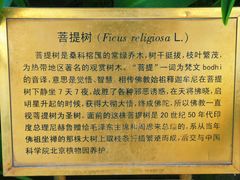 -国家植物园南园