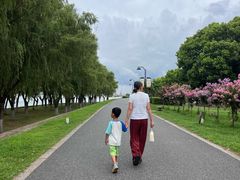-扬子江公园