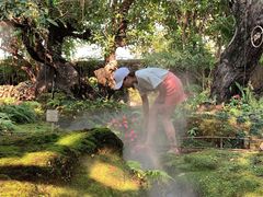 -Chom Cafe and Restaurant