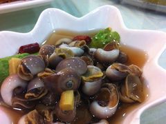 田螺-新恬乐大酒家(沧达大厦店)