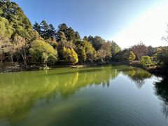 -和顺柏联温泉