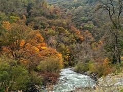 -叠溪松坪沟景区