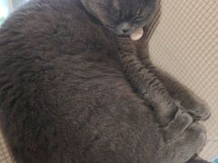 -春笙食堂.丼饭拉面寿司(GOGO新天地店)