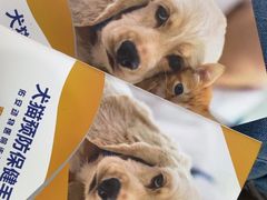 -佑安动物医院·全科·内窥镜中心(幸福巷店)