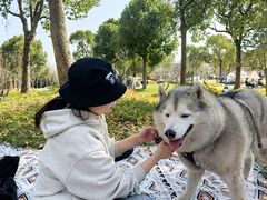 -上海长兴岛郊野公园