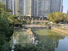 -石排湾郊野公园