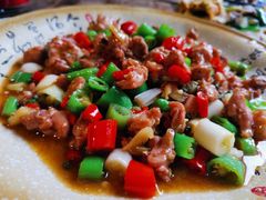 -青城甲(青城山店)