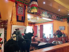 -如意林卡藏餐吧(大昭寺店)