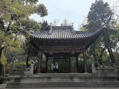 -汇龙潭