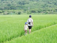 -艾米稻香小镇