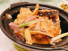 沙爹洋葱酱爆鱼头-北园酒家(小北路店)