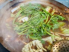 大白菜-姥家大锅台水库渔家