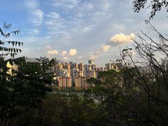 -金鸡山公园