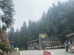 -武陵山森林公园