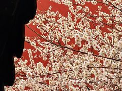 -钱王祠