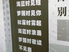 -成都失恋馆