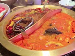 -小龙坎老火锅(泾县喜来登店)