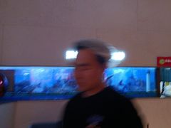 -老板恋上鱼(恒隆广场店)