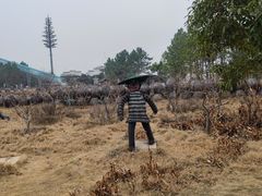 -汪记鲜鱼糊汤粉(沈阳路总店)