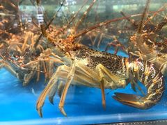 -盒马鲜生(宝地店)