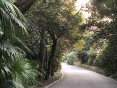 -蜀冈西峰生态公园