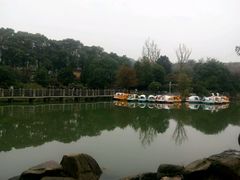 -白马涧龙池景区