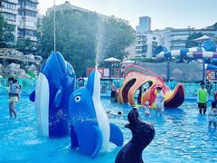 -武汉市青少年宫水上世界