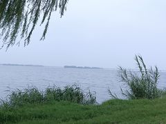 -漕湖湿地公园