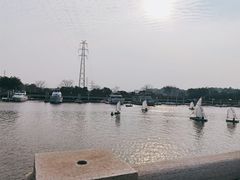 -长洲岛都市农业公园