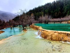 -黄龙山原始森林景区