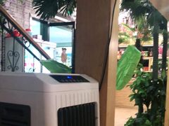 -四季合味椰子鸡(南山大冲店)