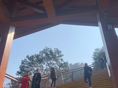 -少华山国家森林公园