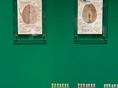 -杭州工艺美术博物馆