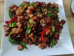 -煲来饱去冷水鱼