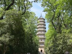 -灵谷景区