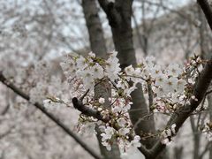 -龙美术馆(西岸馆)