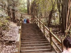 -凤栖山