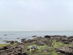 -青岛海滨风景区