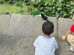 -莲湖公园