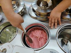 -野人先生现做冰淇淋(北京悠唐购物中心店)