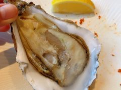 -斯普汇生蚝牛排馆(中骏世界城店)