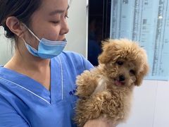 -博特宠物医院24h犬猫全科.骨科·异宠