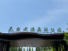 -黄海国家森林公园