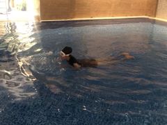 -斯博特游泳俱乐部(永安里店)