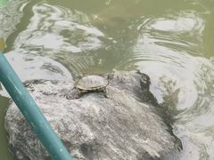 -海珠湖公园
