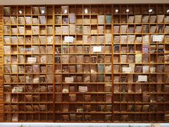 -猫的天空之城概念书店(印象城购物中心店)